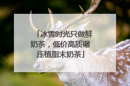 冰雪时光只做鲜奶茶，低价高质碾压植脂末奶茶