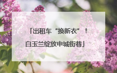 出租车“换新衣”！白玉兰绽放申城街巷