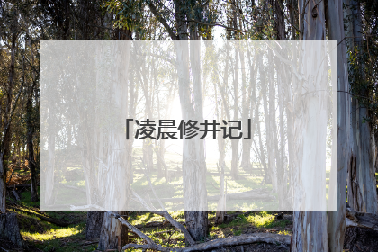 凌晨修井记