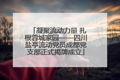 凝聚流动力量 扎根蓉城家园——四川盐亭流动党员成都党支部正式揭牌成立
