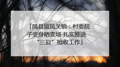 凤县留凤关镇：村委院子变身晒麦场 扎实推进“三夏”抢收工作