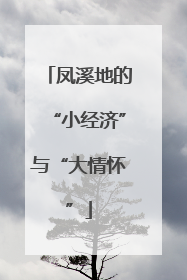 凤溪地的“小经济”与“大情怀”