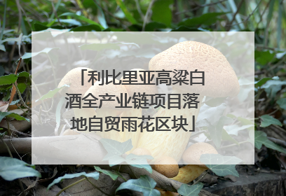 利比里亚高粱白酒全产业链项目落地自贸雨花区块