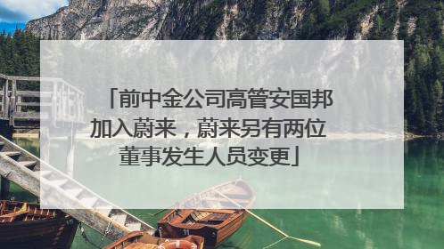 前中金公司高管安国邦加入蔚来，蔚来另有两位董事发生人员变更