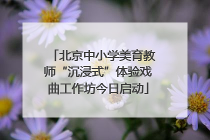 北京中小学美育教师“沉浸式”体验戏曲工作坊今日启动