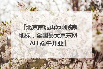 北京南城再添潮购新地标，全国最大京东MALL端午开业