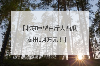 北京巨型百斤大西瓜卖出1.4万元！