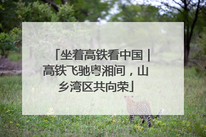 坐着高铁看中国｜高铁飞驰粤湘间，山乡湾区共向荣