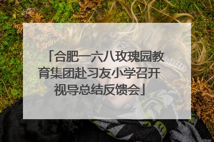 合肥一六八玫瑰园教育集团赴习友小学召开视导总结反馈会