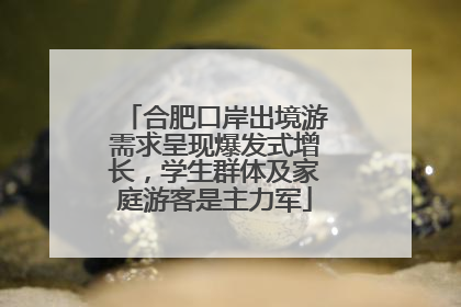 合肥口岸出境游需求呈现爆发式增长，学生群体及家庭游客是主力军