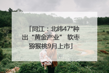 同江：北纬47°种出“黄金产业” 软枣猕猴桃9月上市