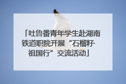 吐鲁番青年学生赴湖南铁道职院开展“石榴籽·祖国行”交流活动