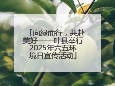 向绿而行，共赴美好——叶县举行2025年六五环境日宣传活动