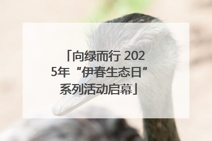 向绿而行 2025年“伊春生态日”系列活动启幕