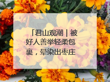 君山观潮｜被好人善举轻柔包裹，晕染出枣庄的温暖底色