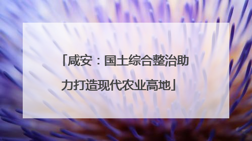 咸安：国土综合整治助力打造现代农业高地