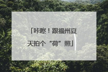 咔嚓！跟福州夏天拍个“荷”照