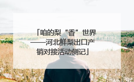 咱的梨“香”世界——河北鲜梨出口产销对接活动侧记