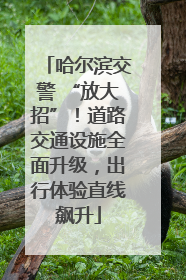 哈尔滨交警 “放大招”！道路交通设施全面升级，出行体验直线飙升