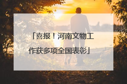 喜报！河南文物工作获多项全国表彰