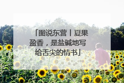 图说东营丨夏果盈香，是盐碱地写给舌尖的情书