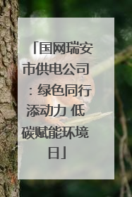 国网瑞安市供电公司：绿色同行添动力 低碳赋能环境日