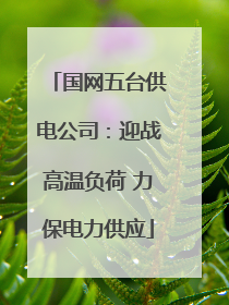 国网五台供电公司：迎战高温负荷 力保电力供应