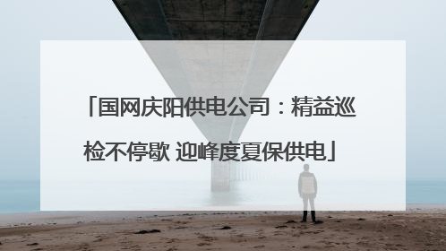 国网庆阳供电公司：精益巡检不停歇 迎峰度夏保供电