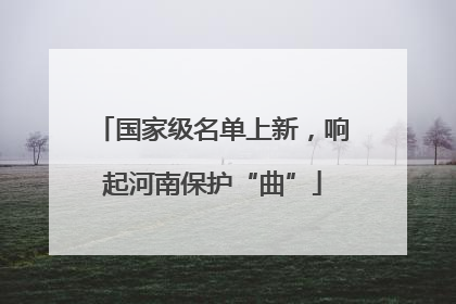 国家级名单上新，响起河南保护“曲”