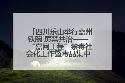 四川乐山举行嘉州铁腕 厉禁共治——“嘉网工程”禁毒社会化工作暨毒品集中销毁启动仪式