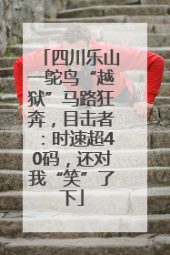 四川乐山一鸵鸟“越狱”马路狂奔，目击者：时速超40码，还对我“笑”了下