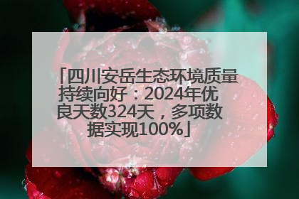 四川安岳生态环境质量持续向好：2024年优良天数324天，多项数据实现100%