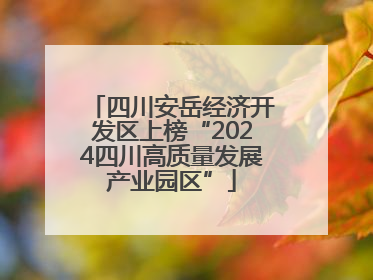 四川安岳经济开发区上榜“2024四川高质量发展产业园区”