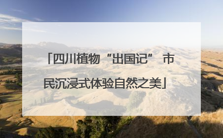 四川植物“出国记” 市民沉浸式体验自然之美