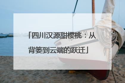 四川汉源甜樱桃：从背篓到云端的跃迁
