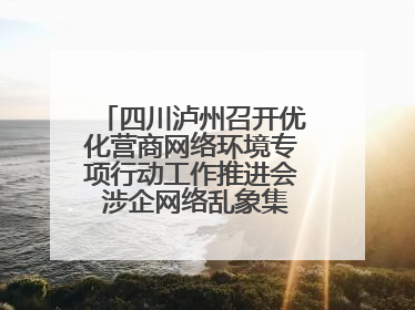 四川泸州召开优化营商网络环境专项行动工作推进会 涉企网络乱象集中整治初见成效