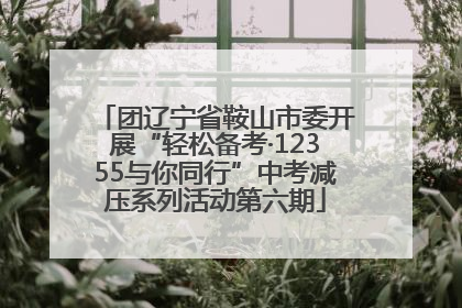 团辽宁省鞍山市委开展“轻松备考·12355与你同行”中考减压系列活动第六期