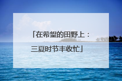 在希望的田野上：三夏时节丰收忙
