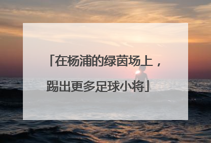在杨浦的绿茵场上，踢出更多足球小将