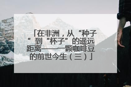 在非洲，从“种子”到“杯子”的遥远距离——一颗咖啡豆的前世今生（三）