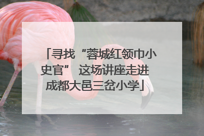 寻找“蓉城红领巾小史官” 这场讲座走进成都大邑三岔小学
