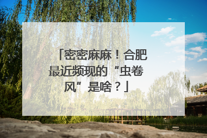 密密麻麻！合肥最近频现的“虫卷风”是啥？