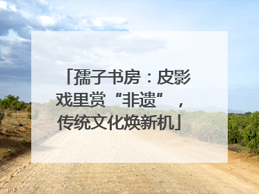 孺子书房：皮影戏里赏“非遗”，传统文化焕新机