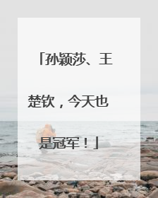 孙颖莎、王楚钦，今天也是冠军！