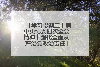 学习贯彻二十届中央纪委四次全会精神丨强化全面从严治党政治责任