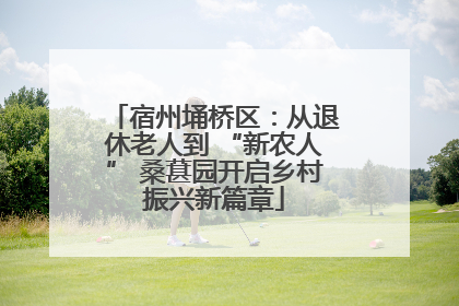 宿州埇桥区：从退休老人到 “新农人” 桑葚园开启乡村振兴新篇章