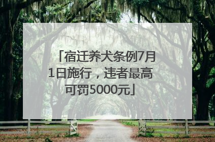 宿迁养犬条例7月1日施行，违者最高可罚5000元
