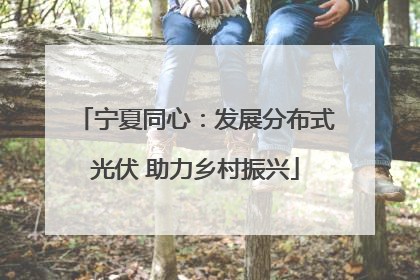 宁夏同心：发展分布式光伏 助力乡村振兴