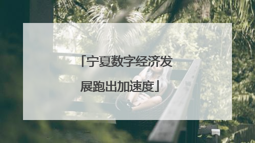 宁夏数字经济发展跑出加速度