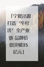 宁夏泾源打造“牛经济”全产业链 品牌价值突破35亿元